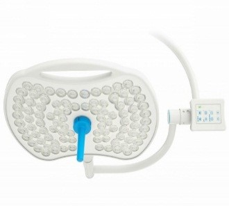 Nullam euismod commodo