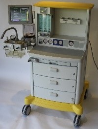 Nullam euismod commodo