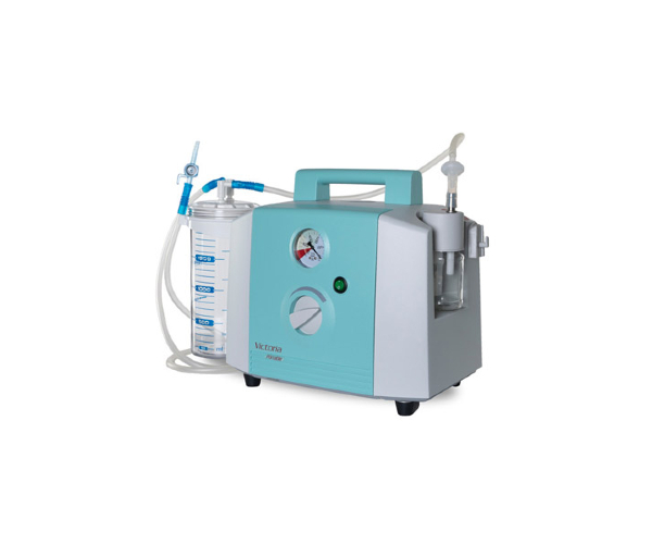 Nullam euismod commodo