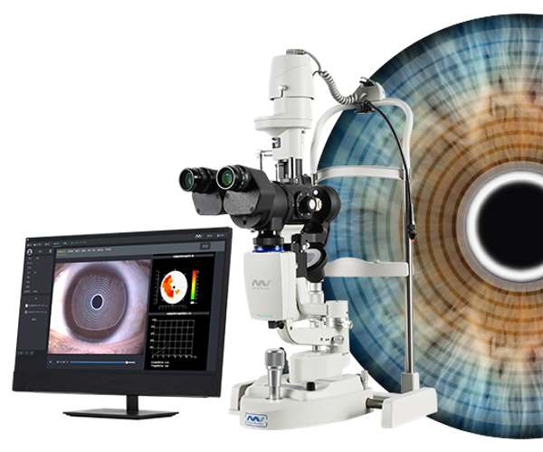 Nullam euismod commodo