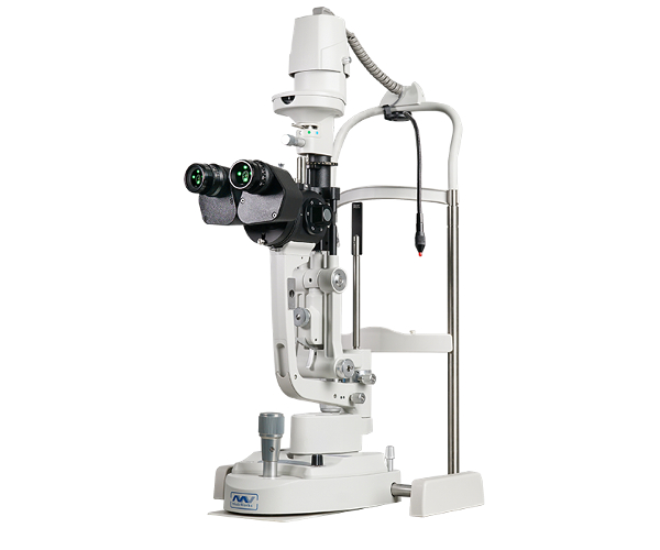 Nullam euismod commodo